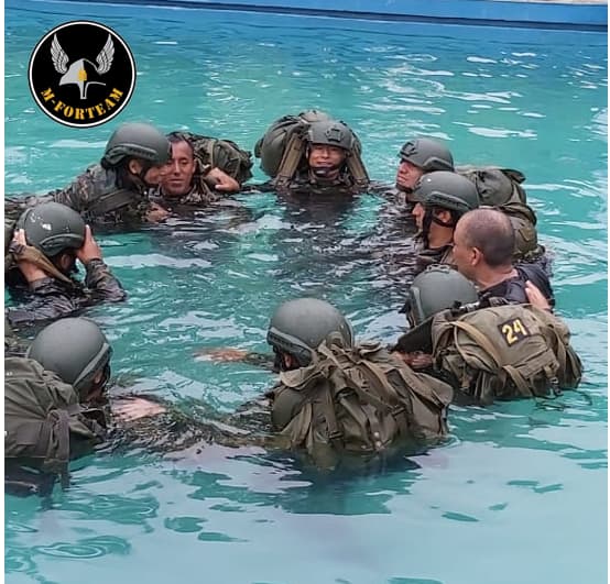 M-4 Team